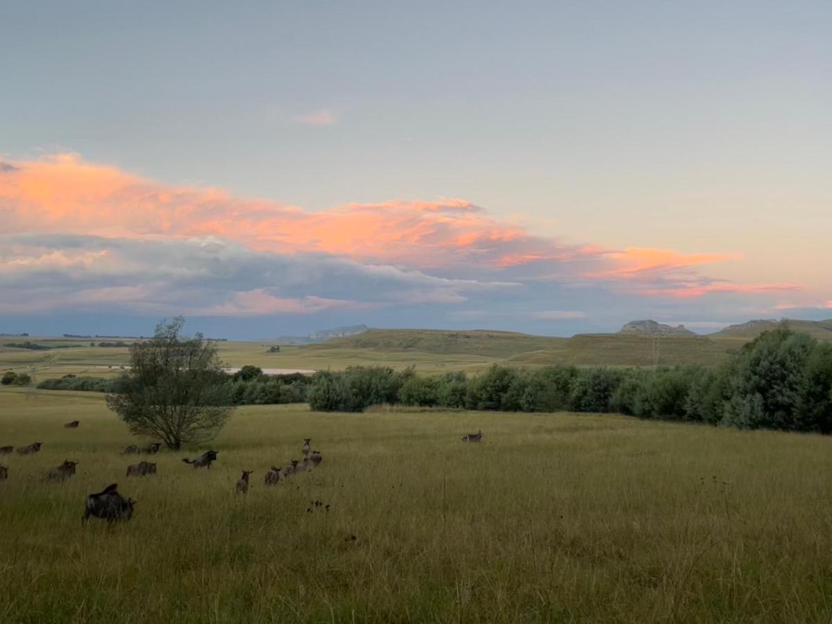 Buffalo Hills Private Game Reserve Harrismith Extérieur photo