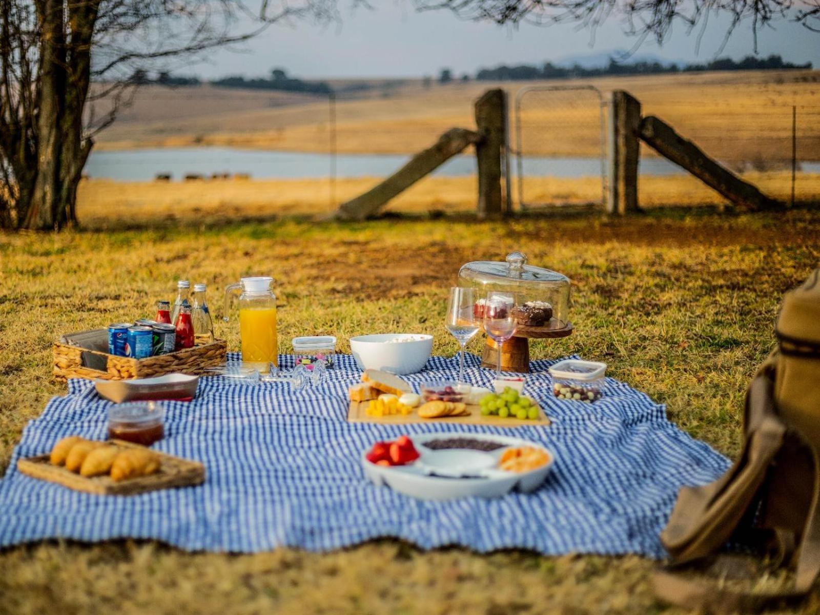 Buffalo Hills Private Game Reserve Harrismith Chambre photo