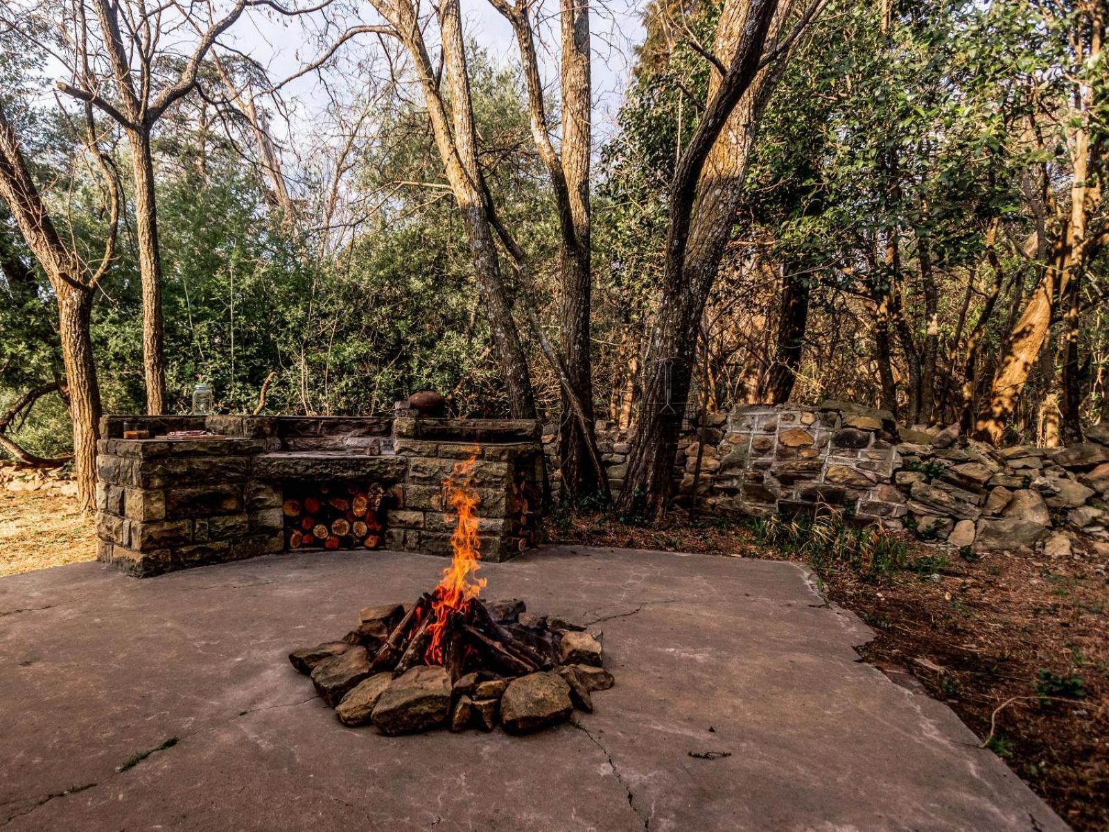 Buffalo Hills Private Game Reserve Harrismith Chambre photo