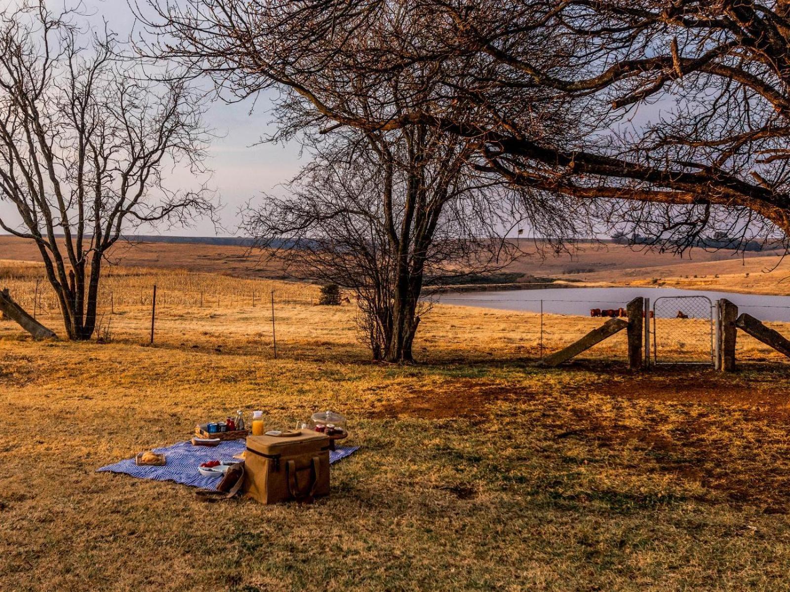 Buffalo Hills Private Game Reserve Harrismith Chambre photo